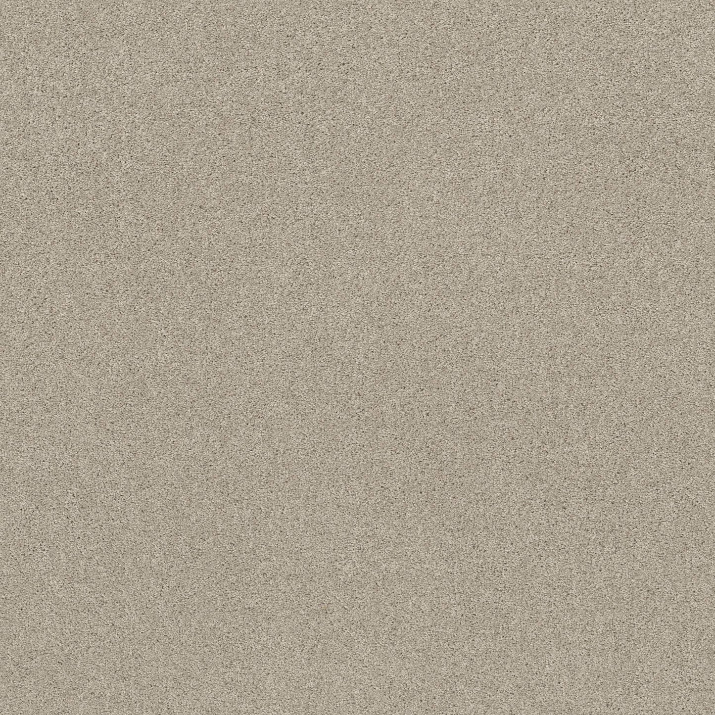 TEXTURE BCF