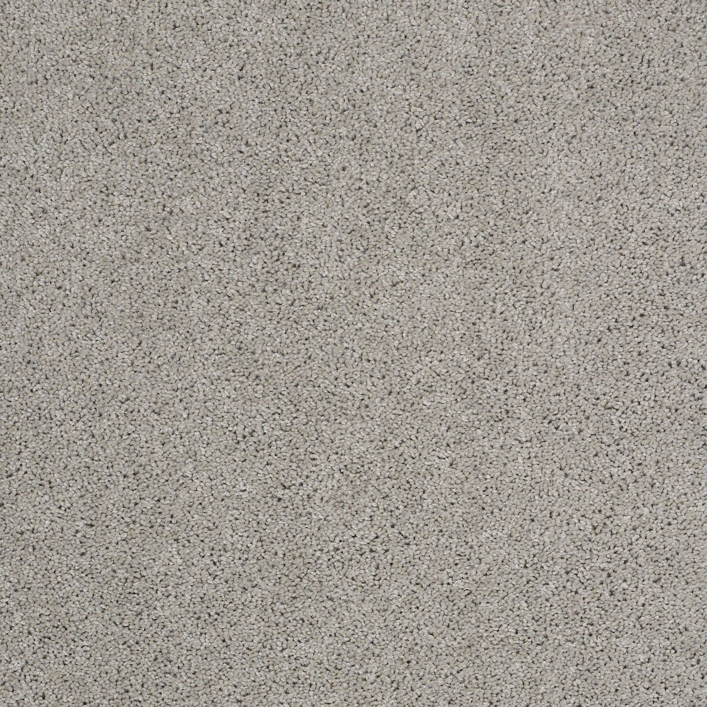 TEXTURE BCF
