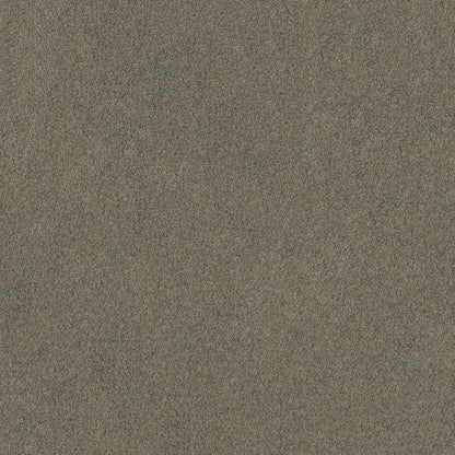 TEXTURE BCF