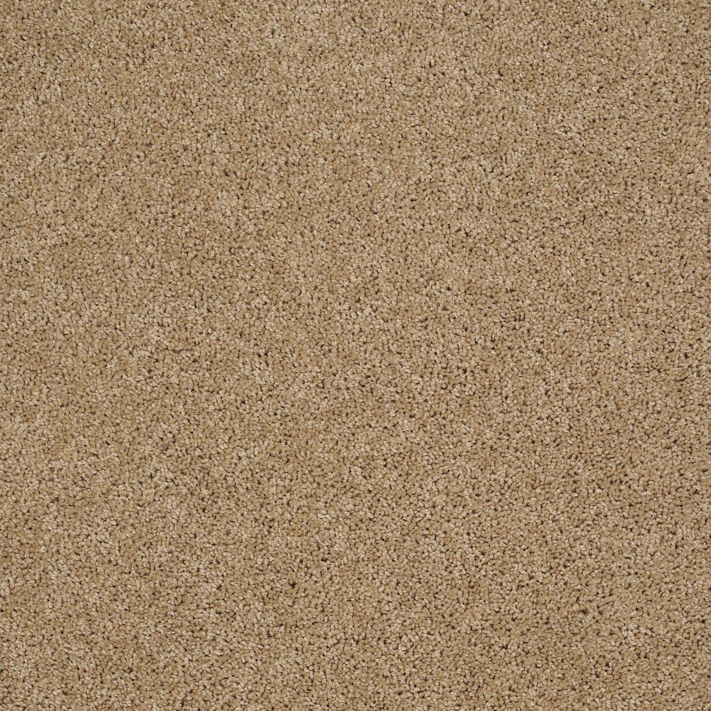 TEXTURE BCF