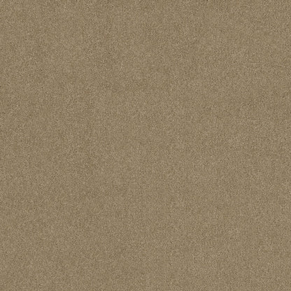 TEXTURE BCF
