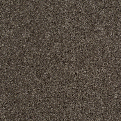 TEXTURE BCF