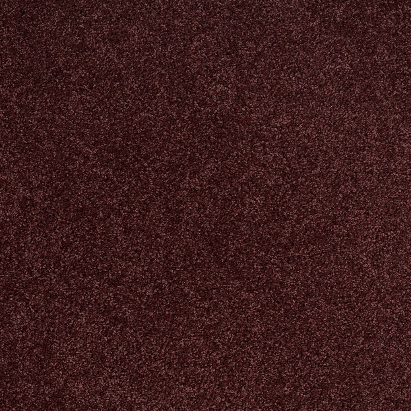 TEXTURE BCF