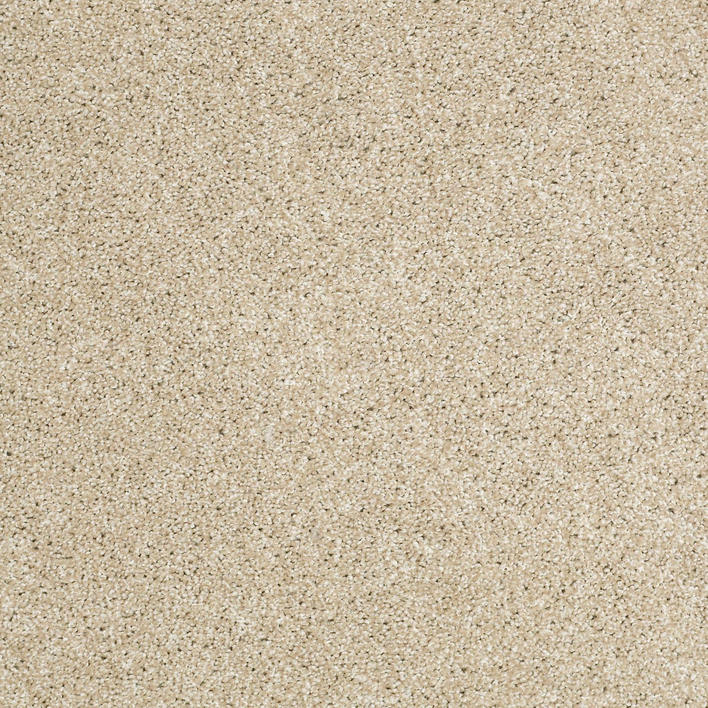 TEXTURE BCF