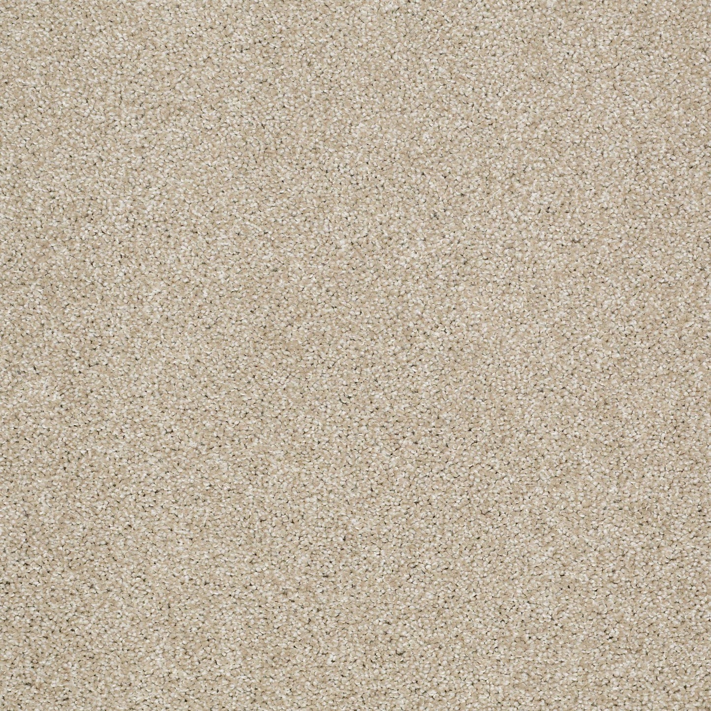 TEXTURE BCF