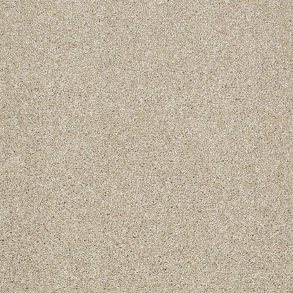 TEXTURE BCF