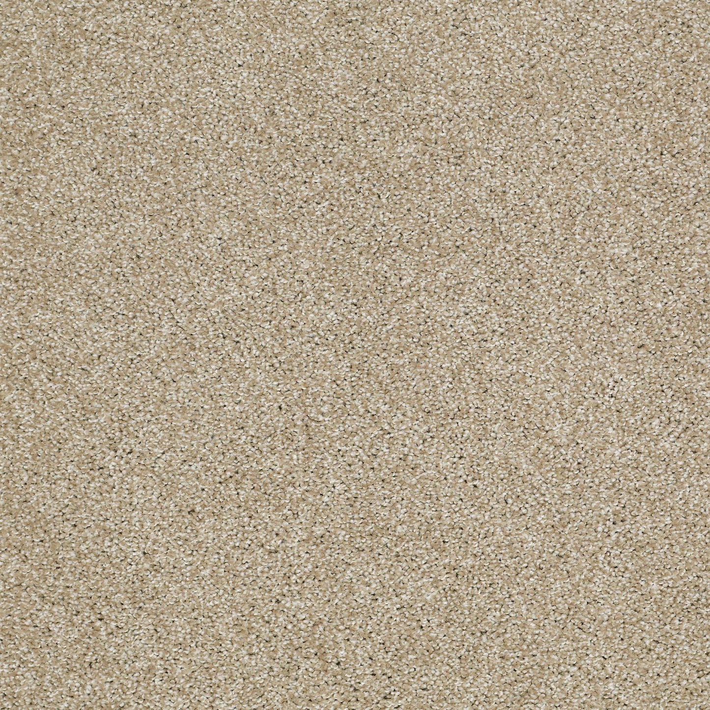 TEXTURE BCF