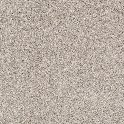 TEXTURE BCF