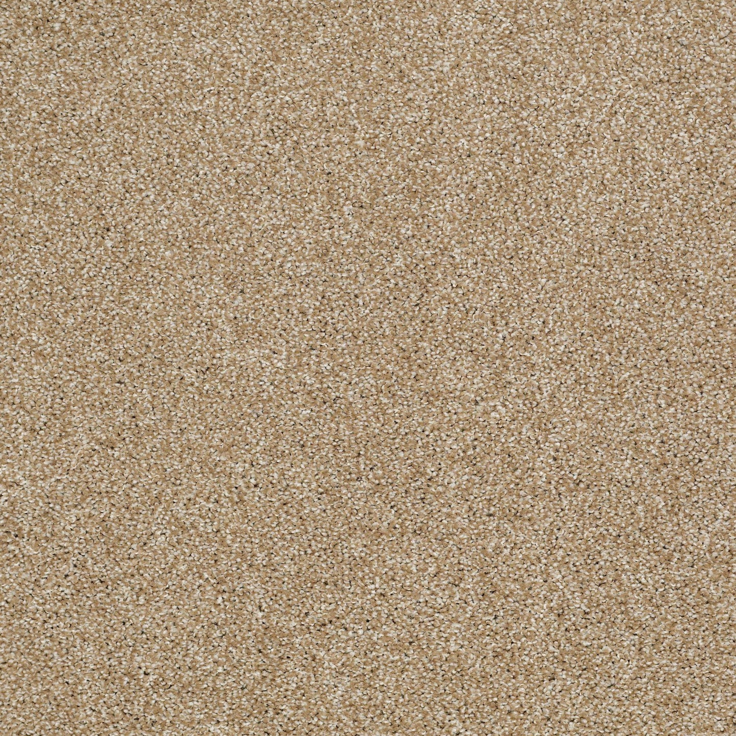 TEXTURE BCF