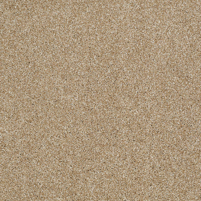 TEXTURE BCF