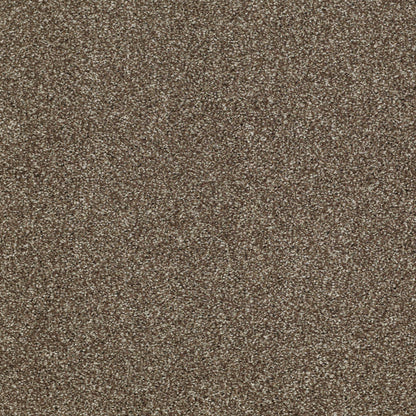 TEXTURE BCF