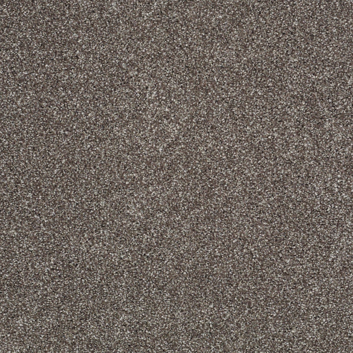 TEXTURE BCF