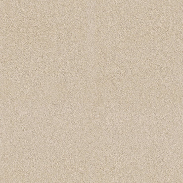 TEXTURE BCF