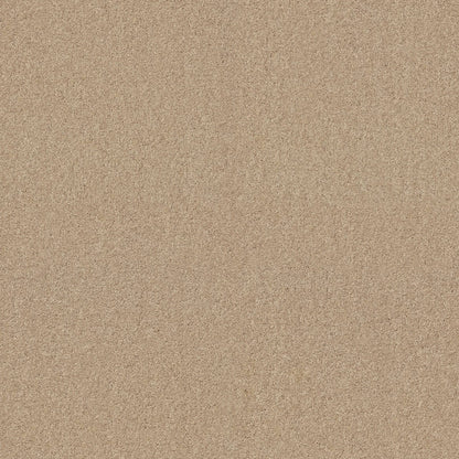 TEXTURE BCF