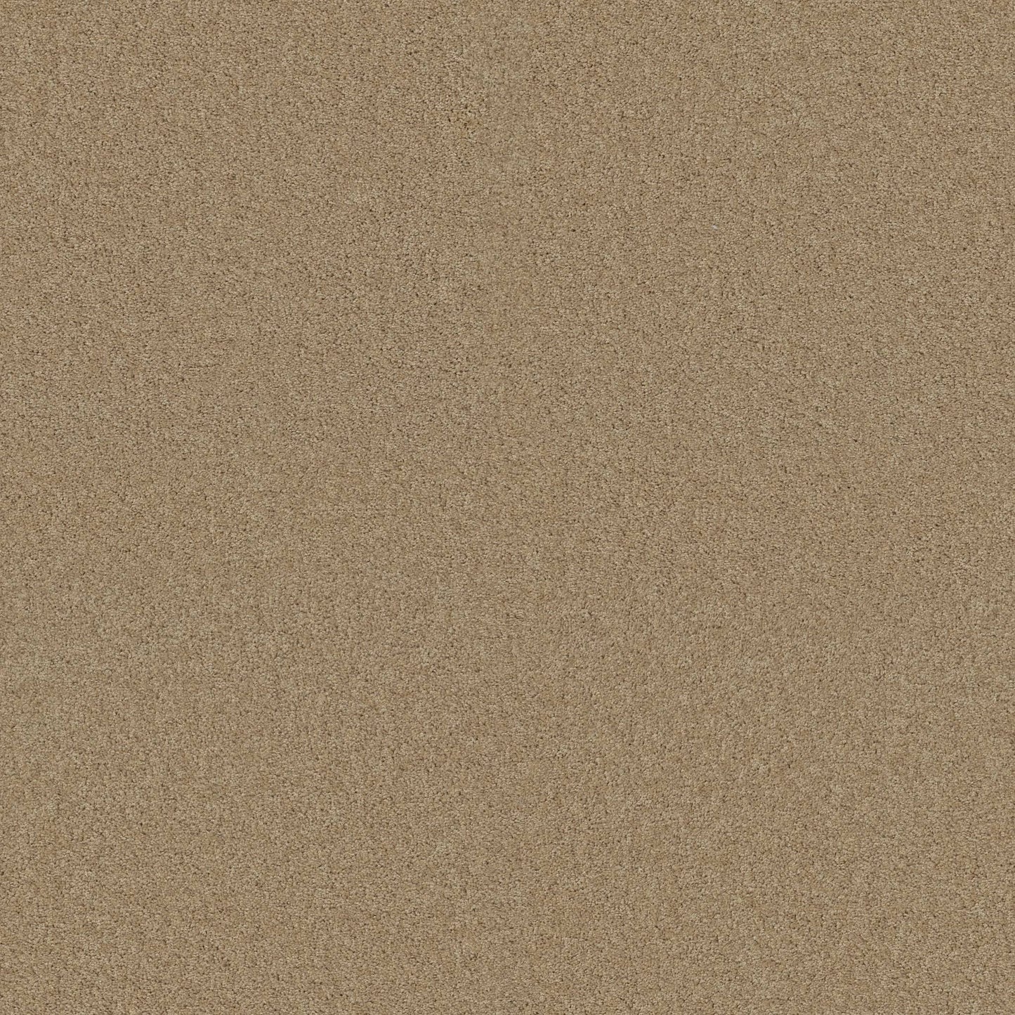 TEXTURE BCF