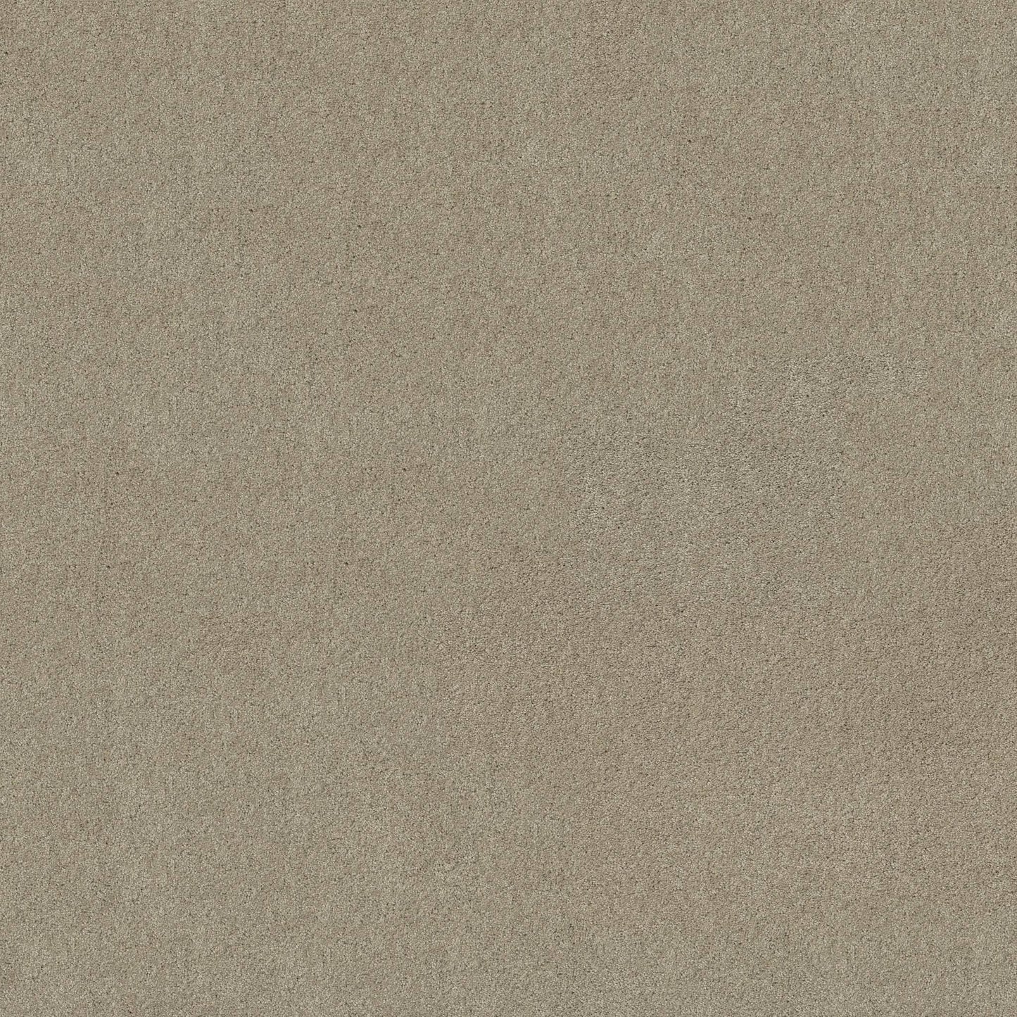 TEXTURE BCF