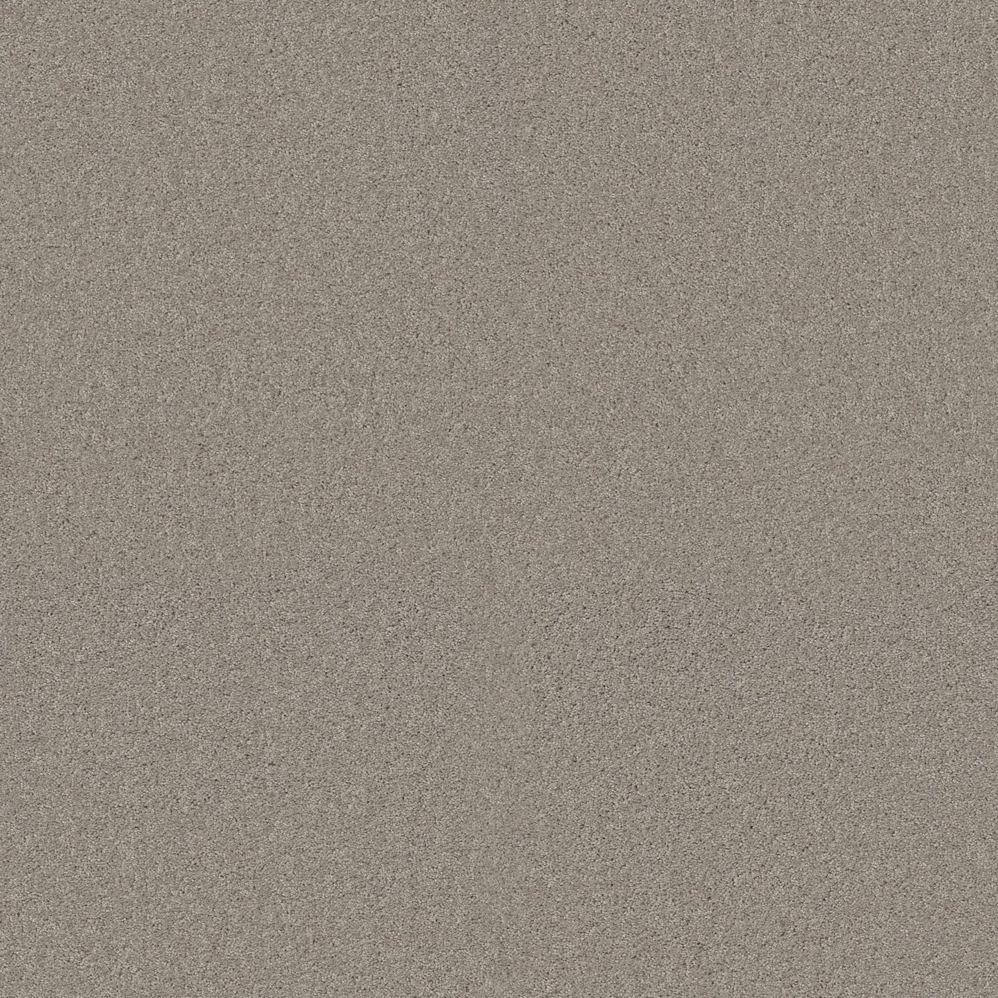 TEXTURE BCF