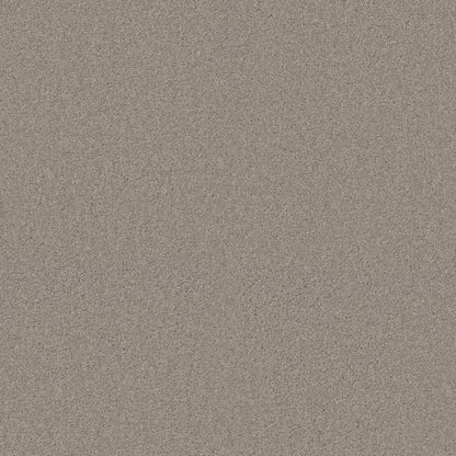 TEXTURE BCF