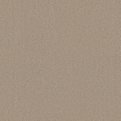 TEXTURE BCF