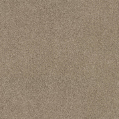TEXTURE BCF