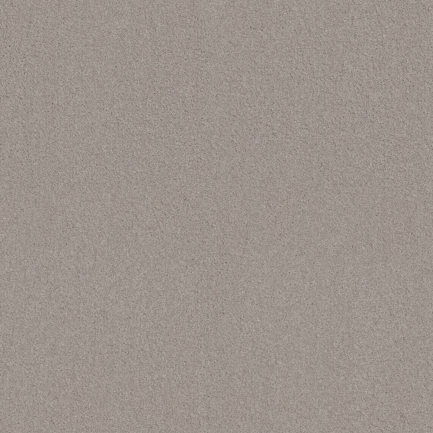 TEXTURE BCF