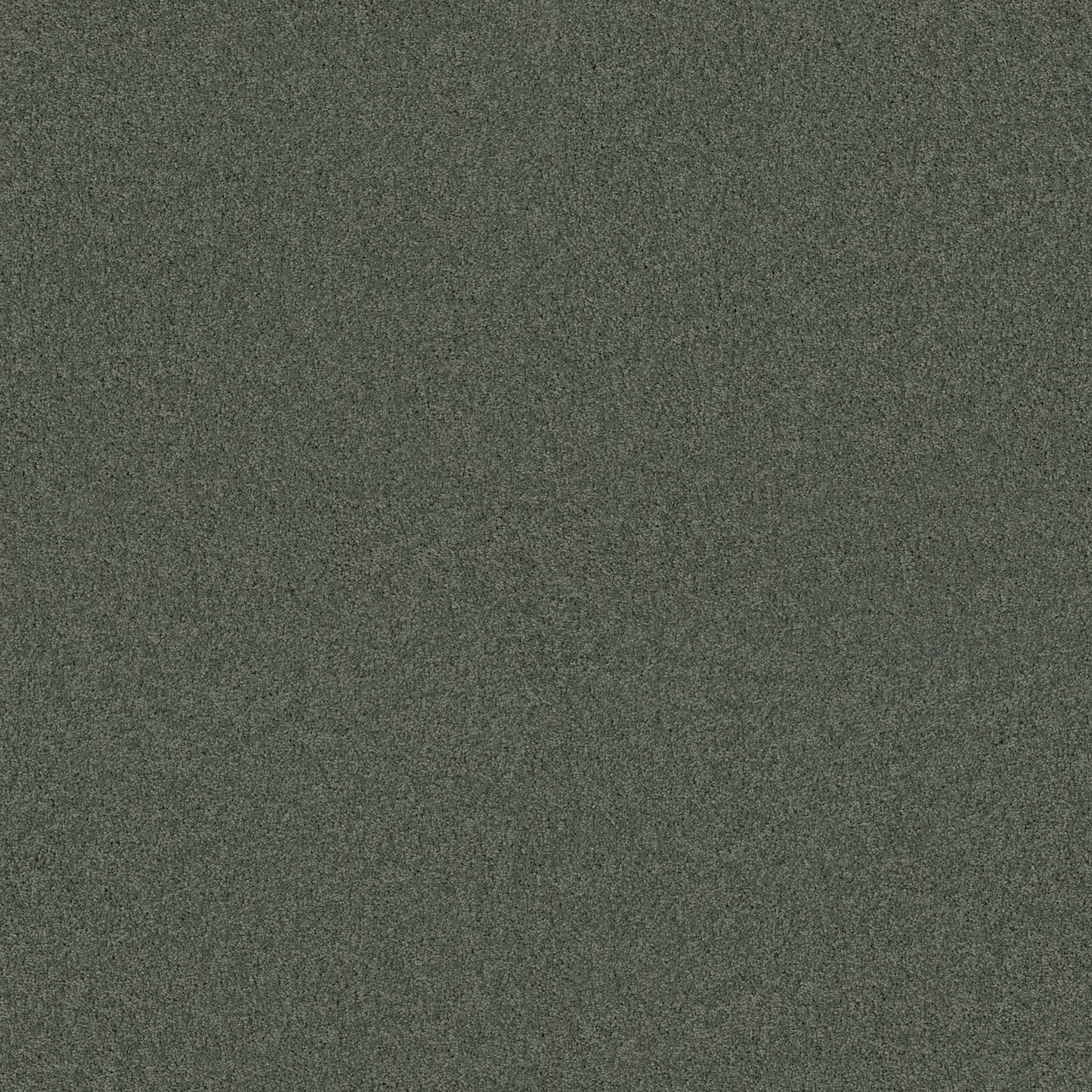 TEXTURE BCF