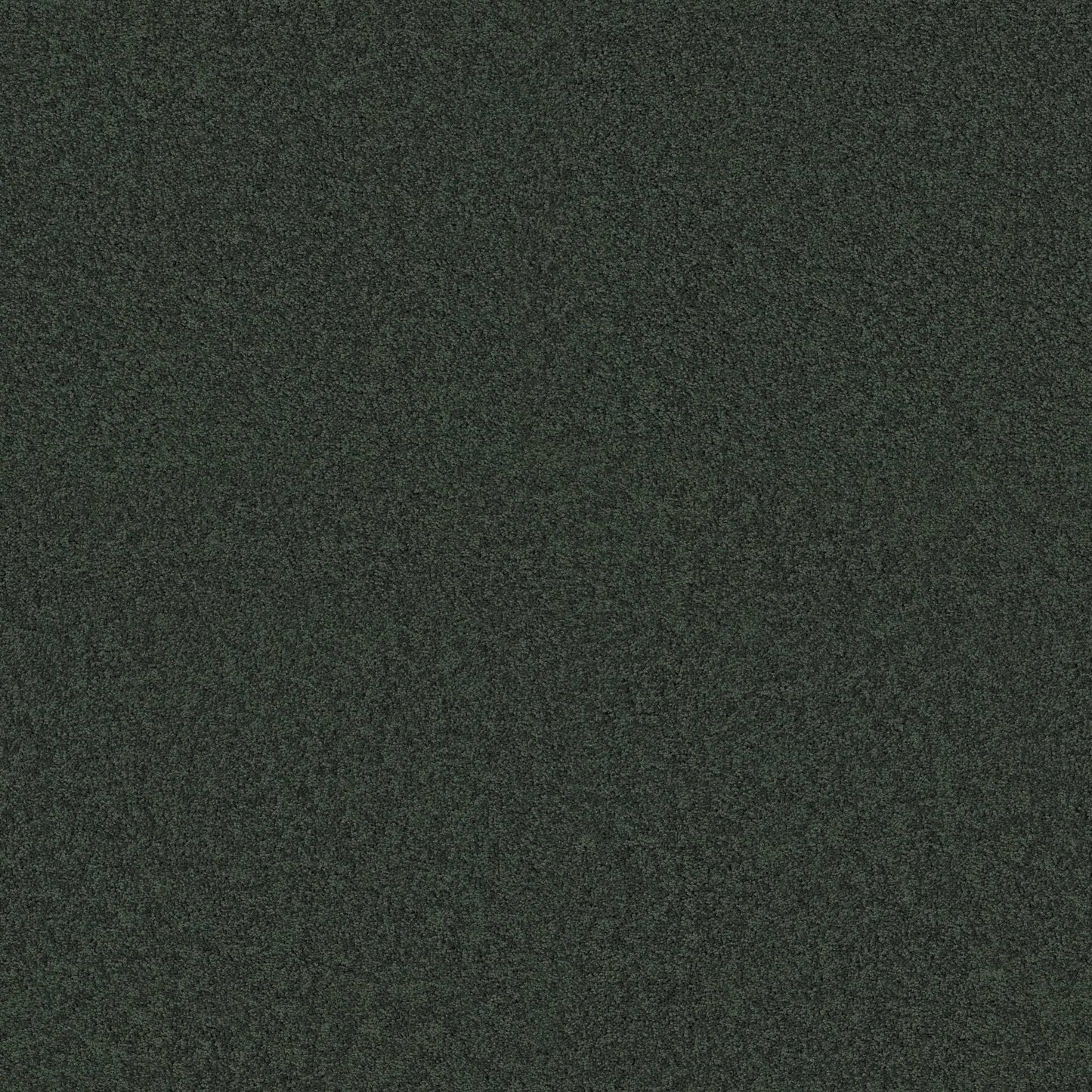TEXTURE BCF