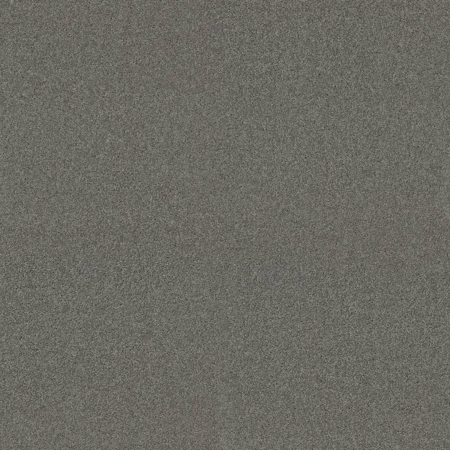 TEXTURE BCF