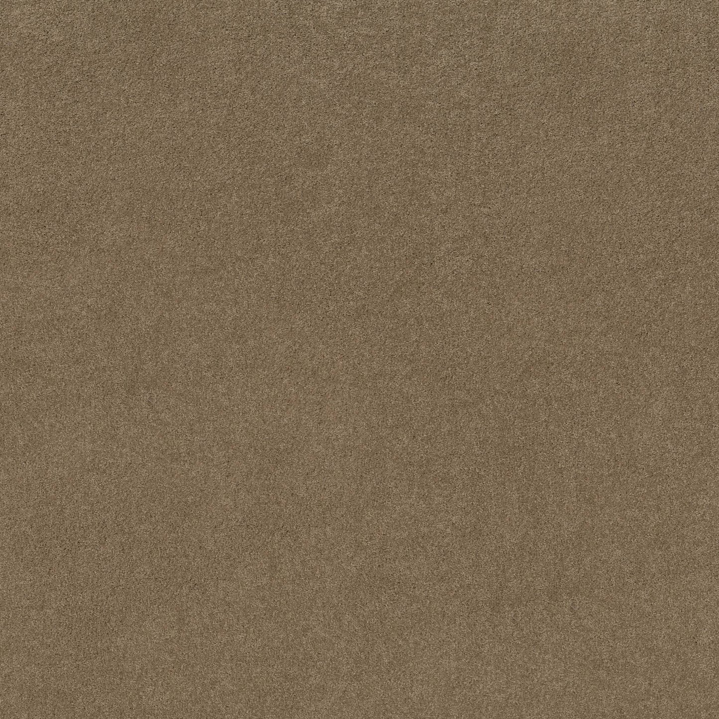 TEXTURE BCF