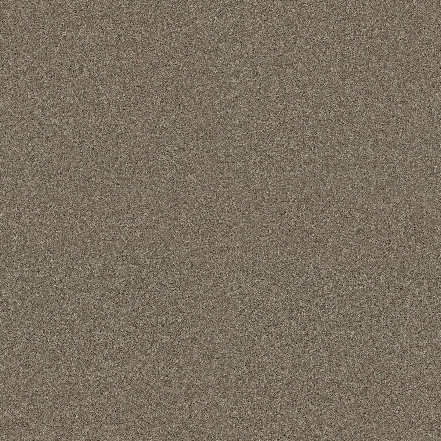 TEXTURE BCF