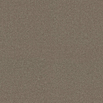 TEXTURE BCF