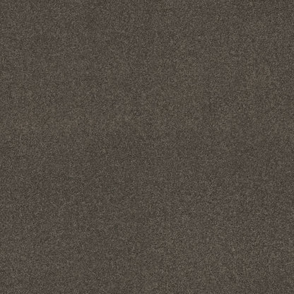 TEXTURE BCF