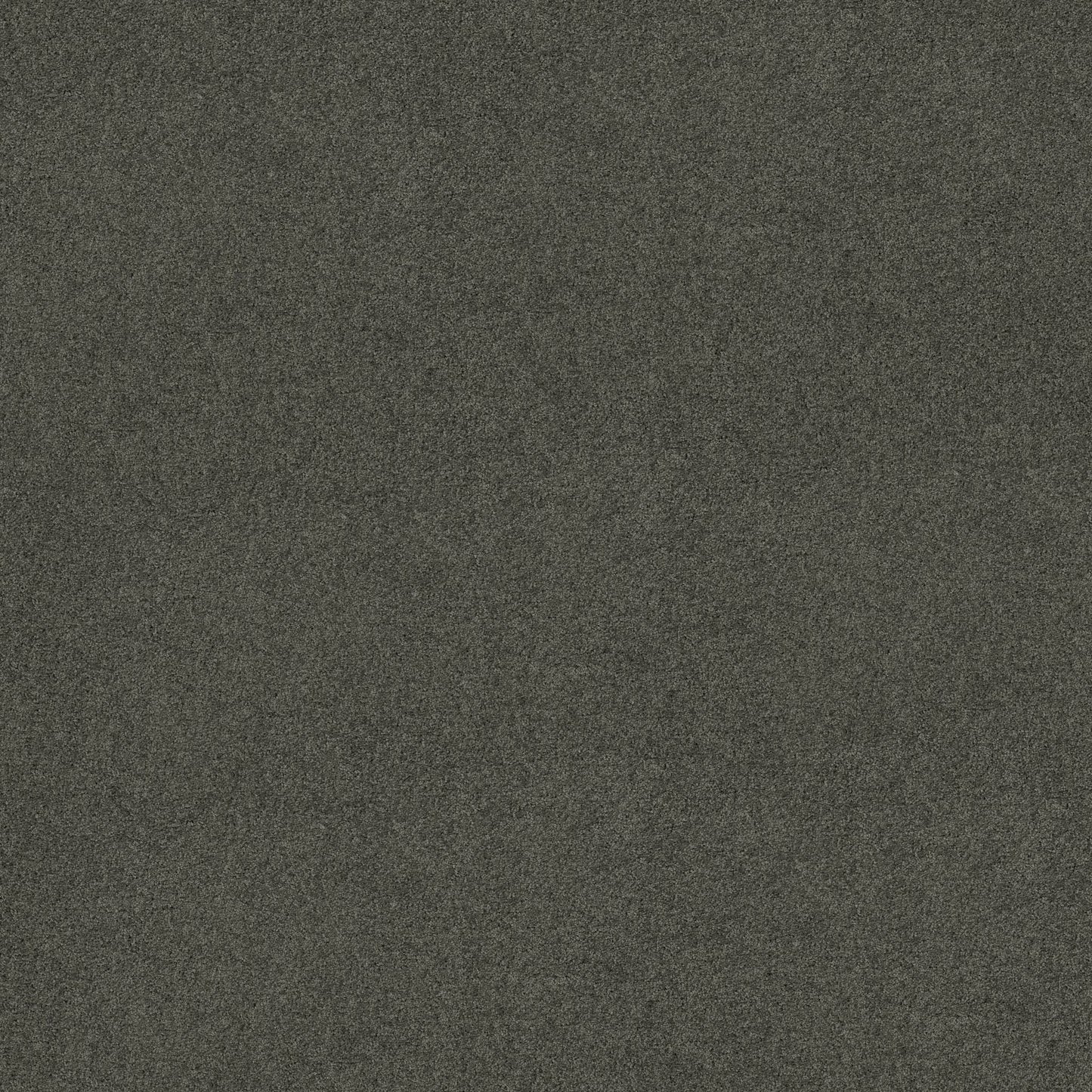TEXTURE BCF