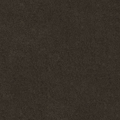 TEXTURE BCF