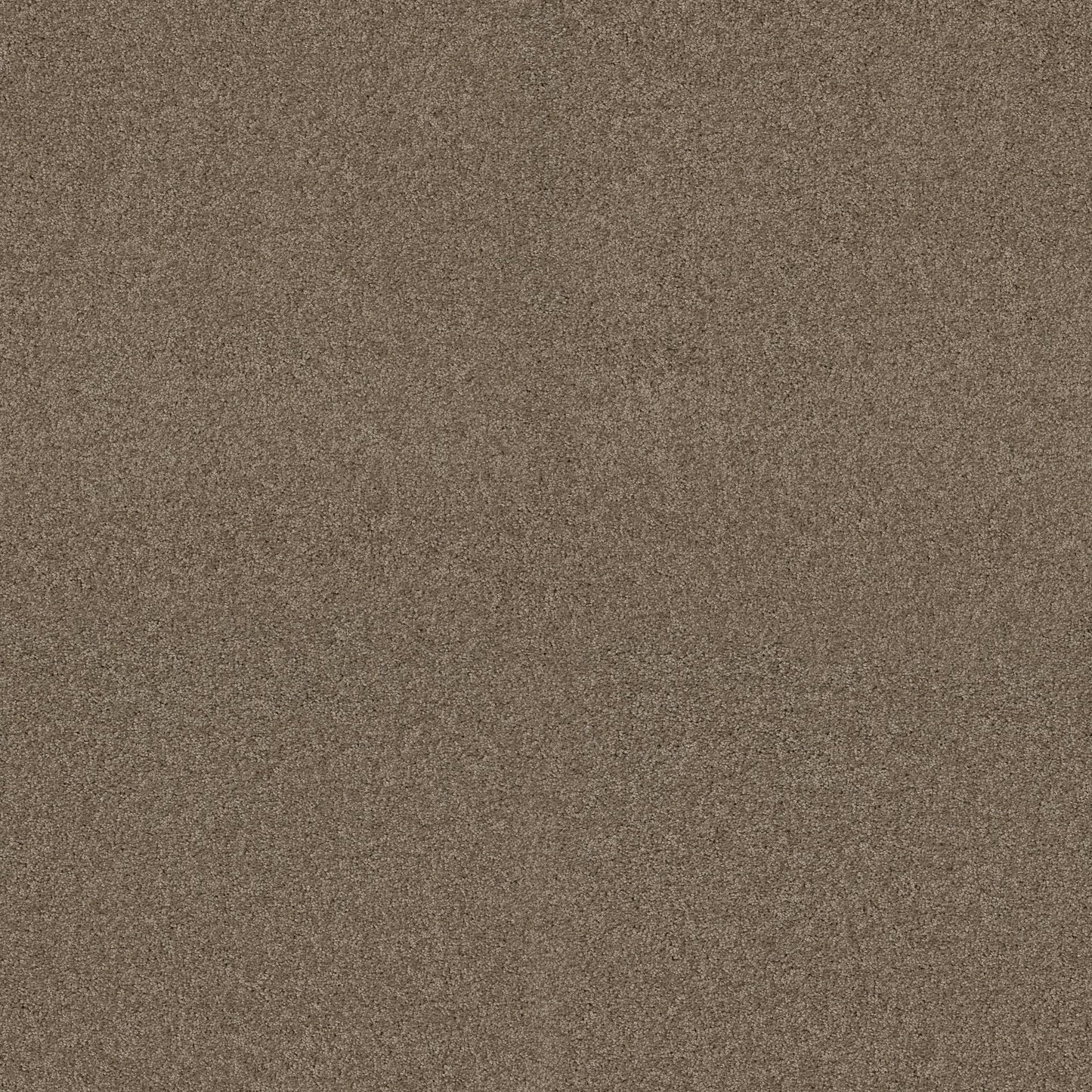 TEXTURE BCF