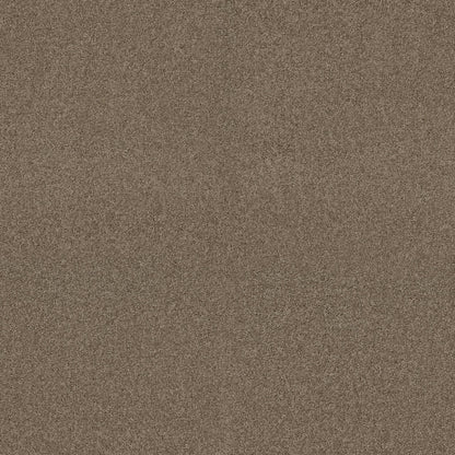 TEXTURE BCF