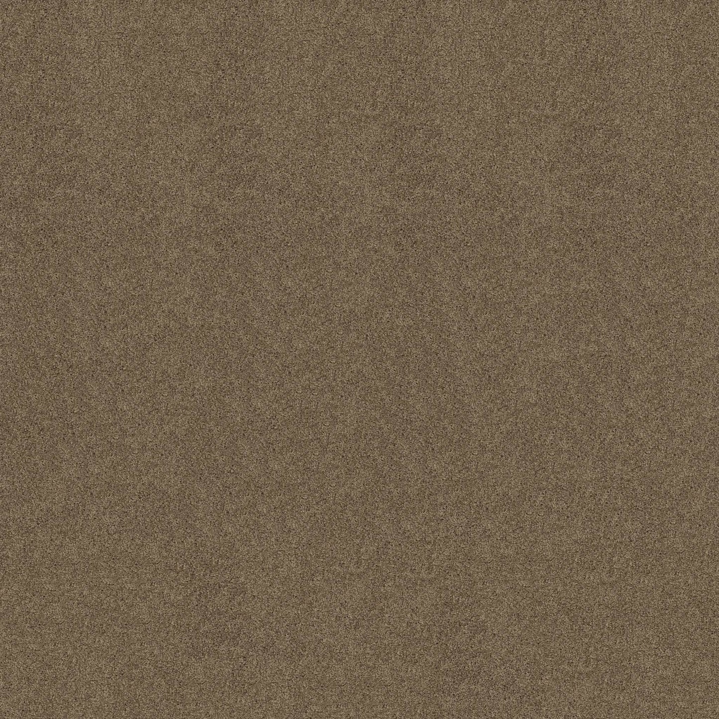 TEXTURE BCF