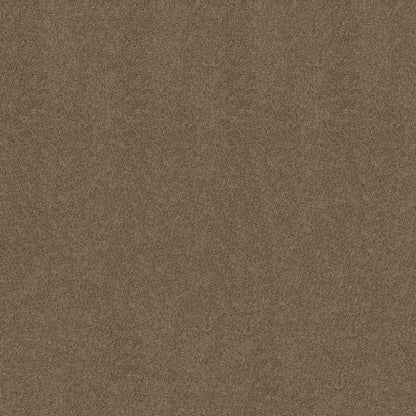 TEXTURE BCF