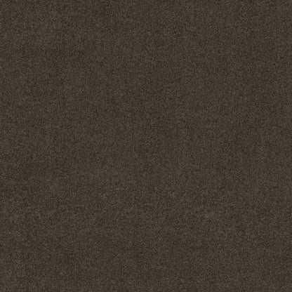 TEXTURE BCF