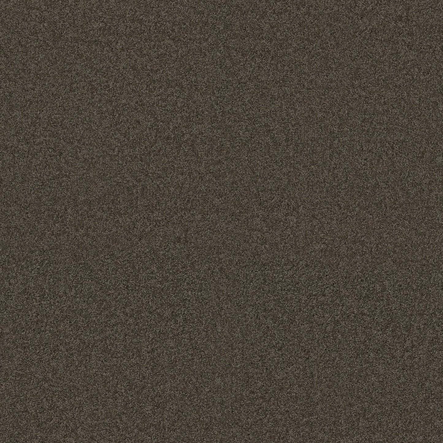 TEXTURE BCF