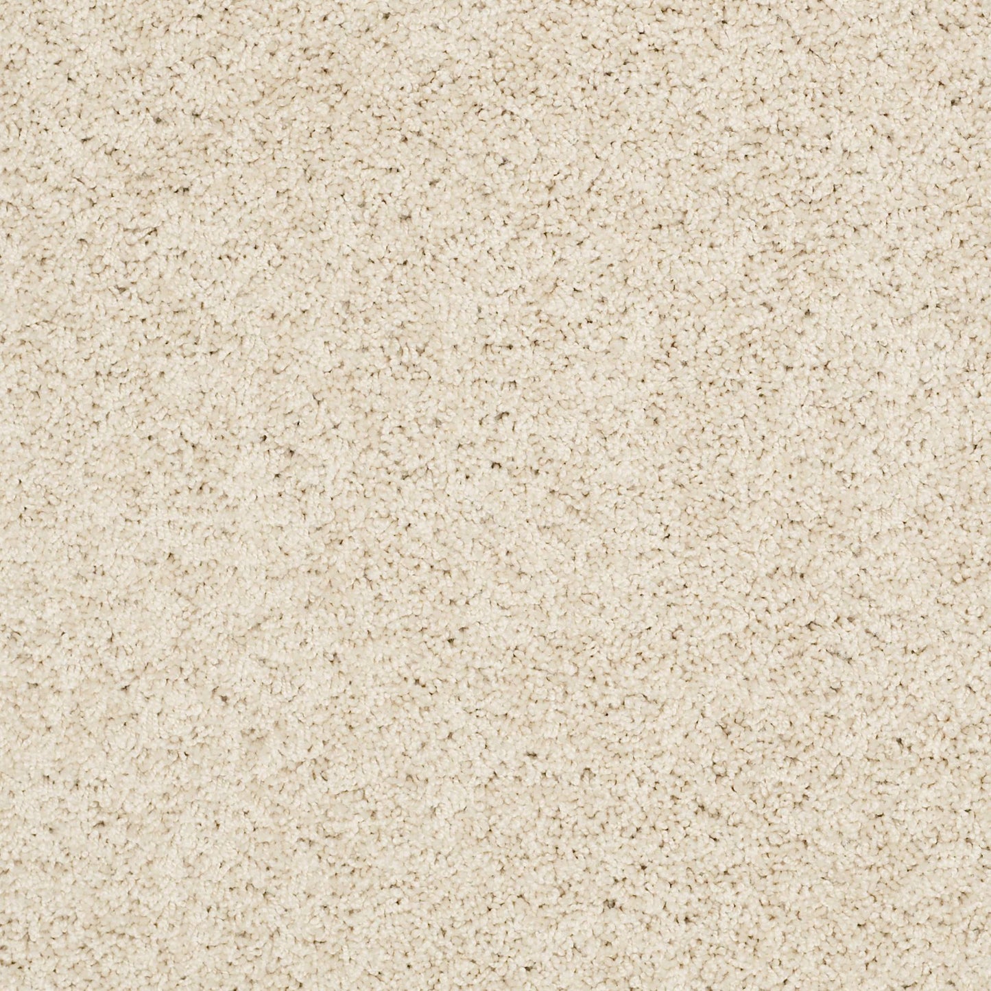 TEXTURE BCF