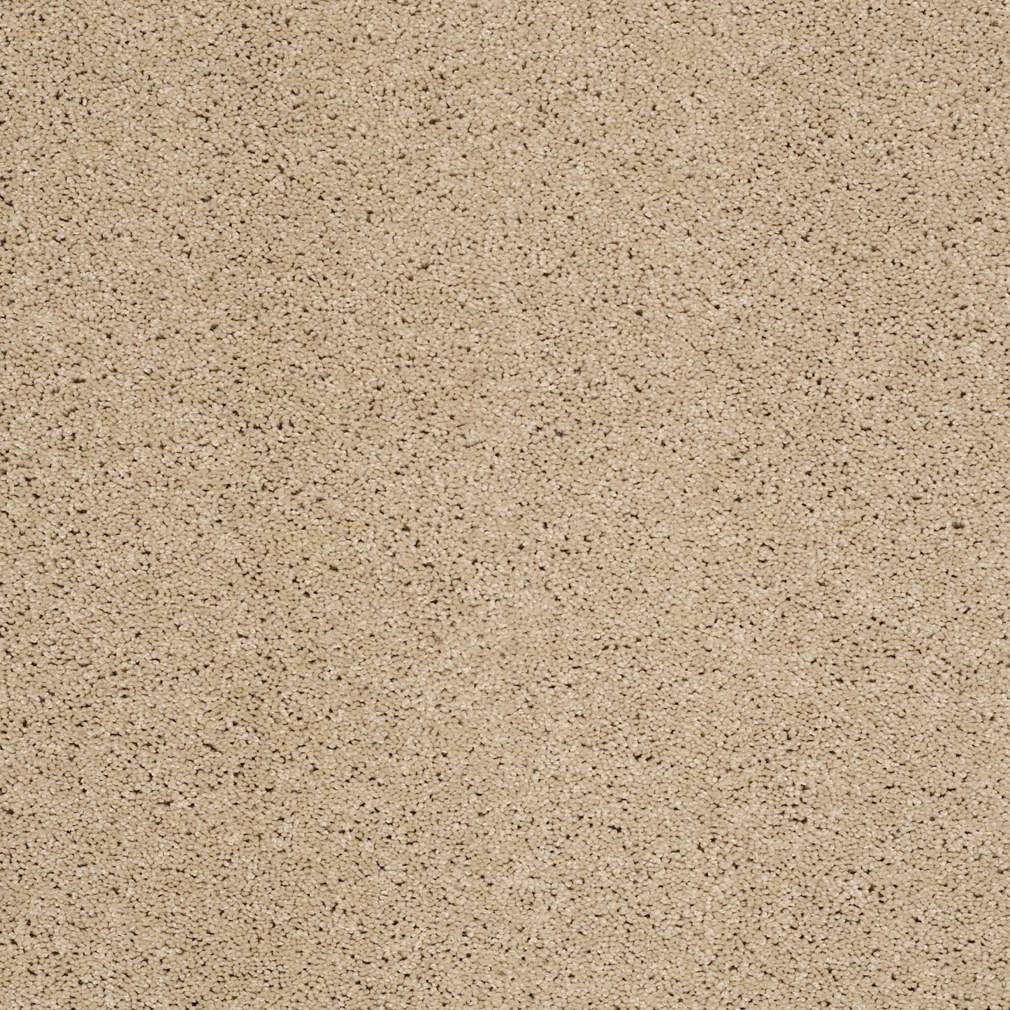 TEXTURE BCF