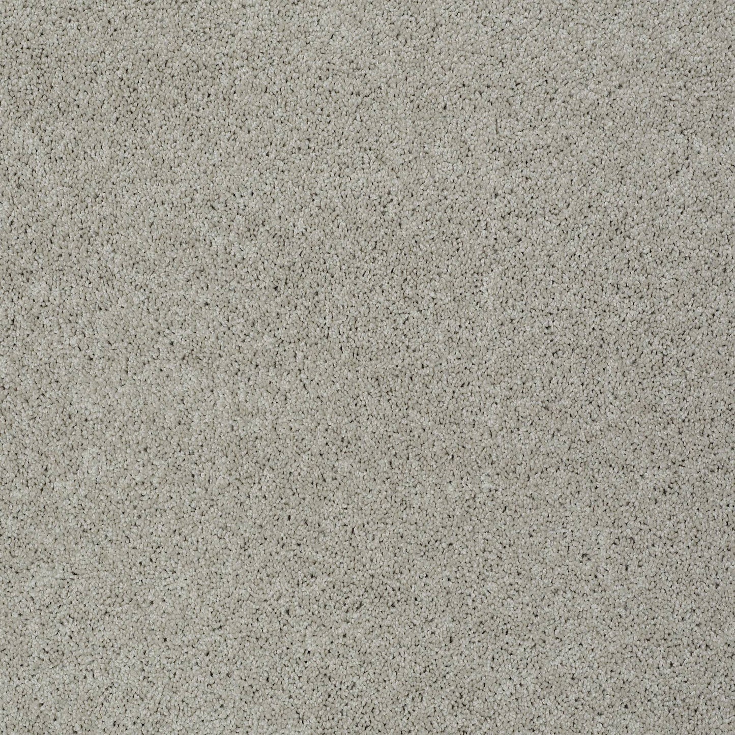 TEXTURE BCF
