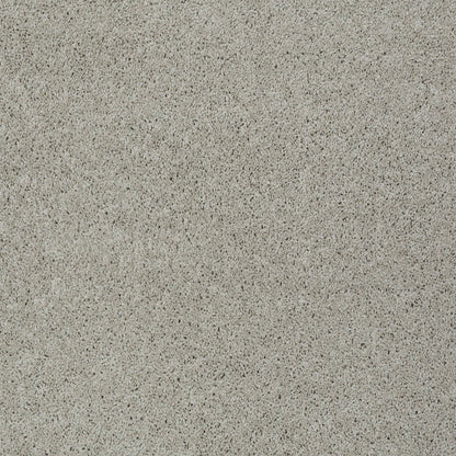 TEXTURE BCF