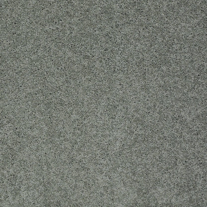 TEXTURE BCF