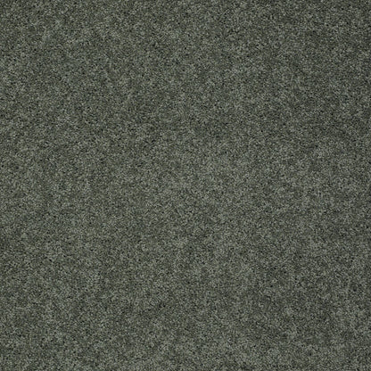 TEXTURE BCF