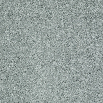 TEXTURE BCF