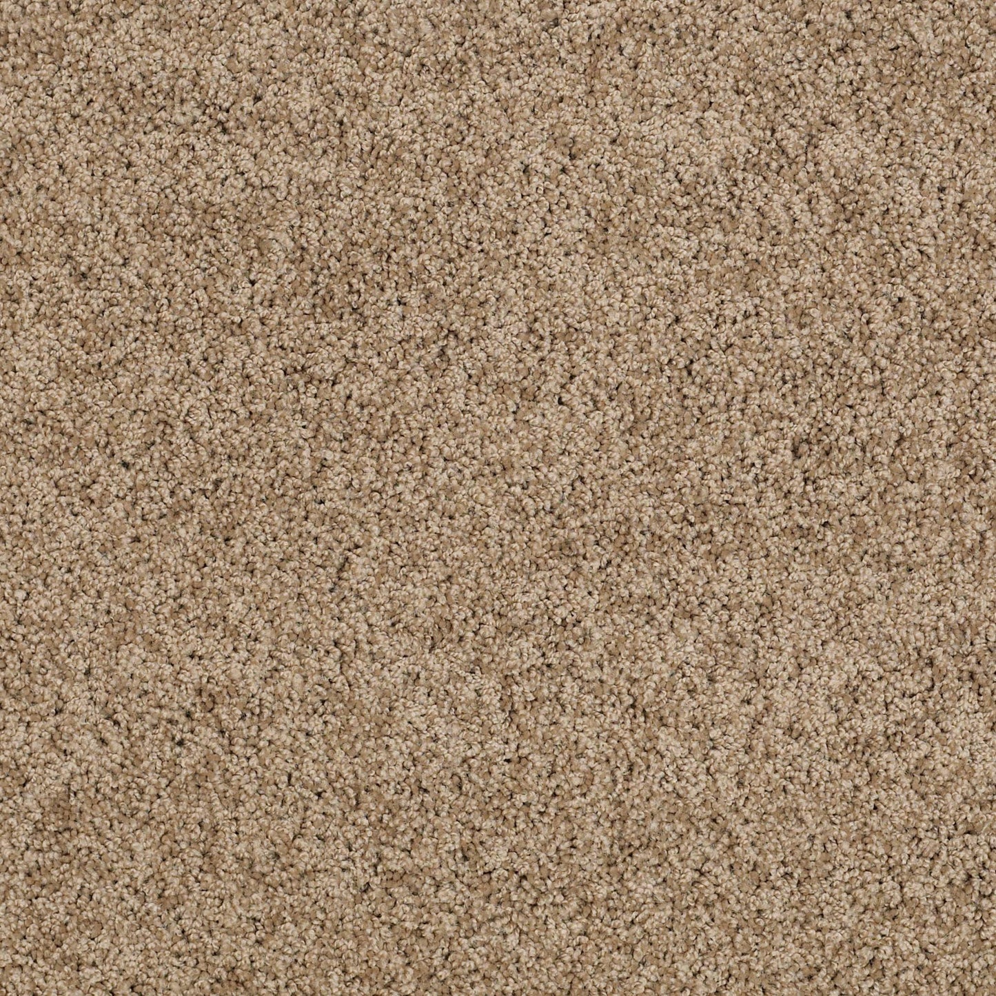 TEXTURE BCF