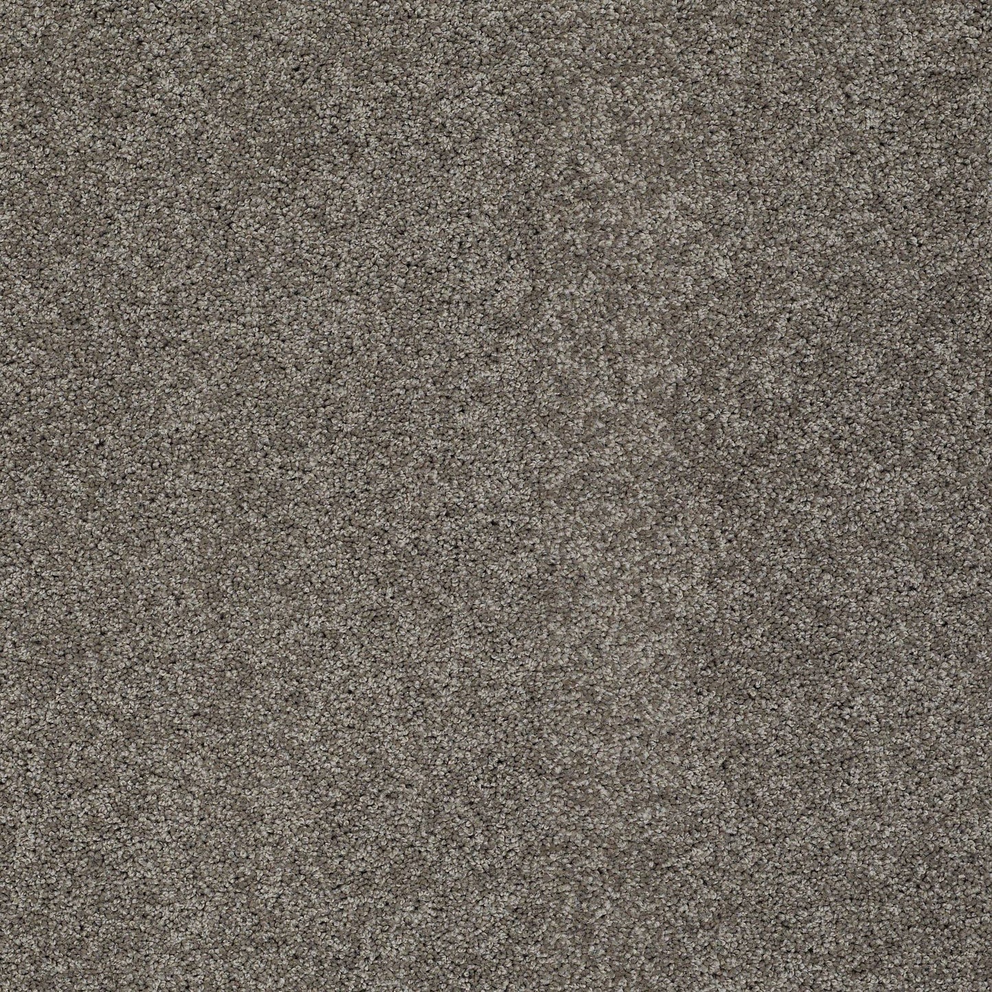 TEXTURE BCF