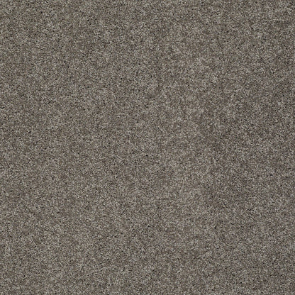TEXTURE BCF